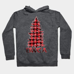 BWCA Boundary Waters Canoe Area Hoodie